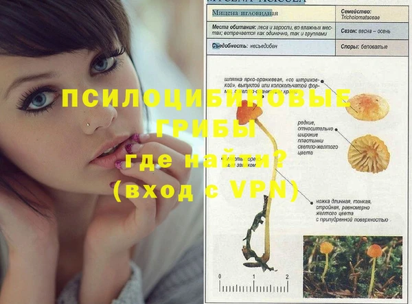 кокаин VHQ Гусев